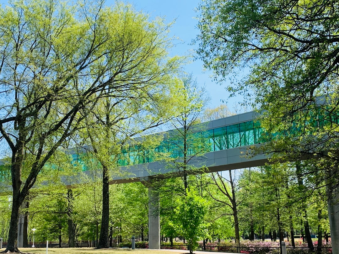 Skywalk