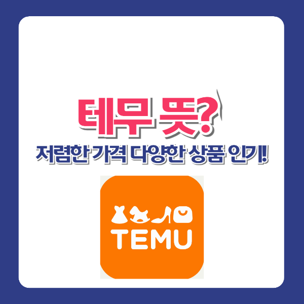 테무 뜻? 저렴한 가격 다양한 상품 인기!