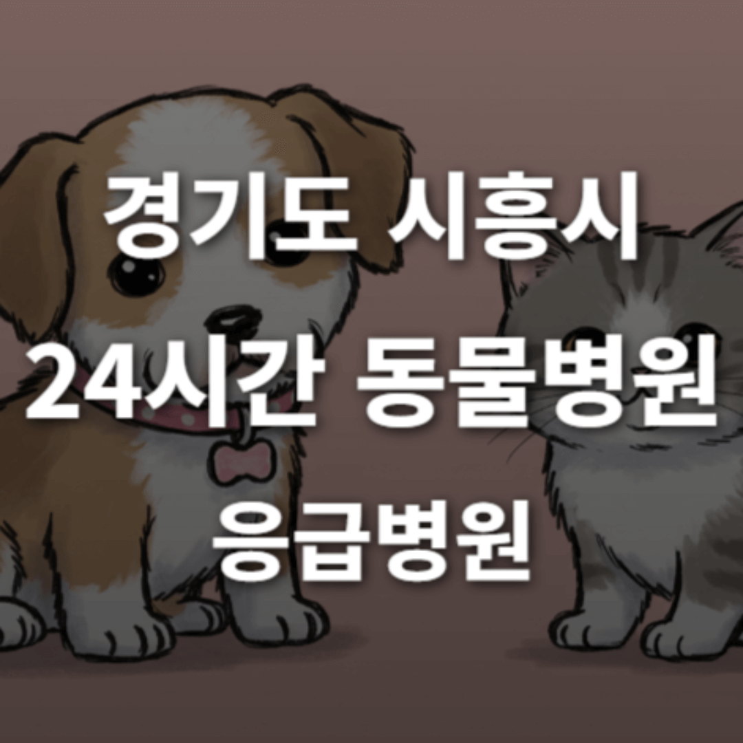 [경기도 시흥시 24시간 동물병원(배곧동, 정왕동, 은행동)] 365일 연중무휴 반려동물 응급상황 대처 가능한 진료소