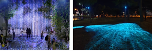 대전 대덕물빛축제 미디어돔