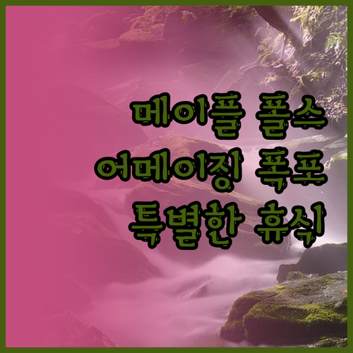 워싱턴 메이플 폴스 어메이징 폴스 캐