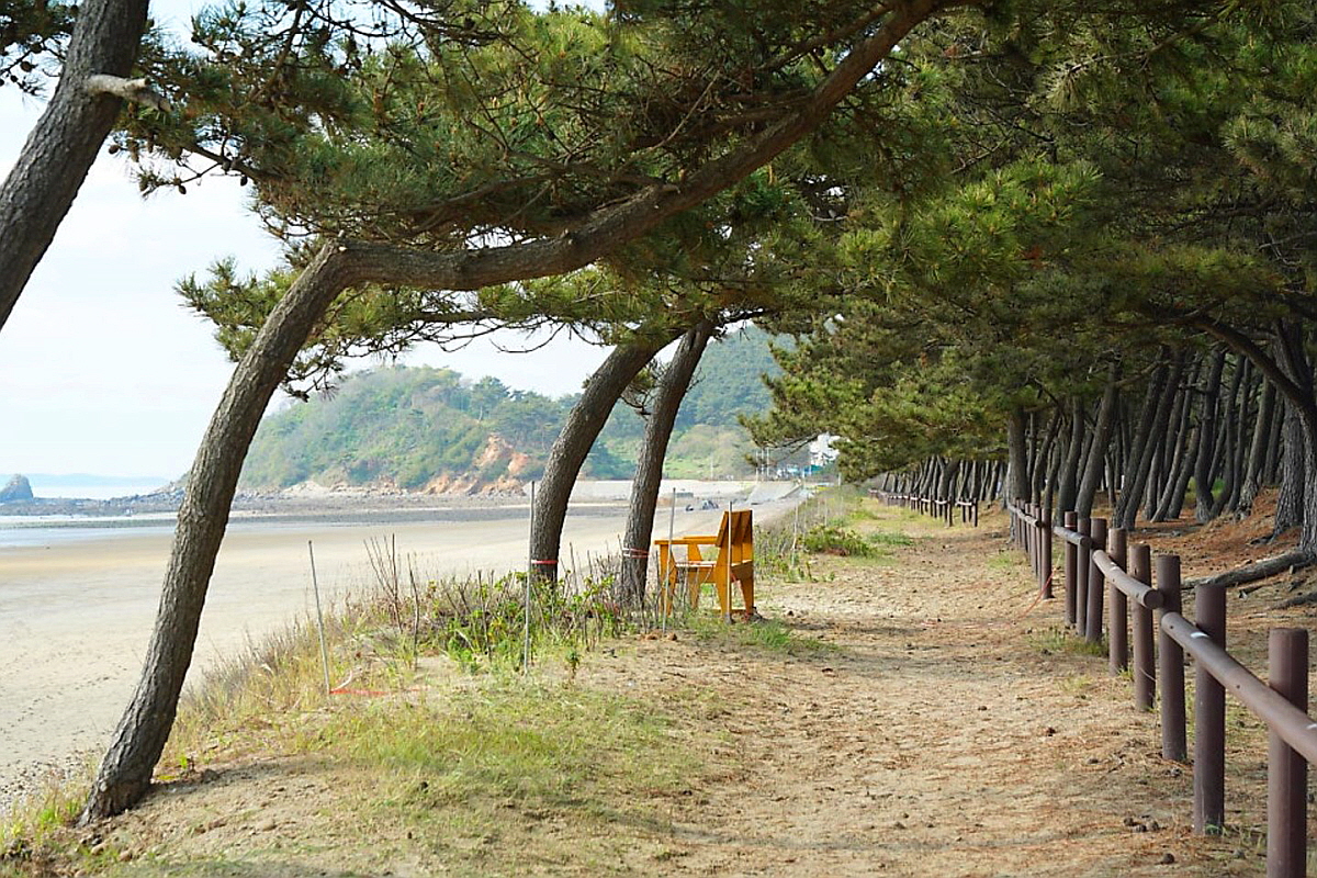 태안 밧개해수욕장