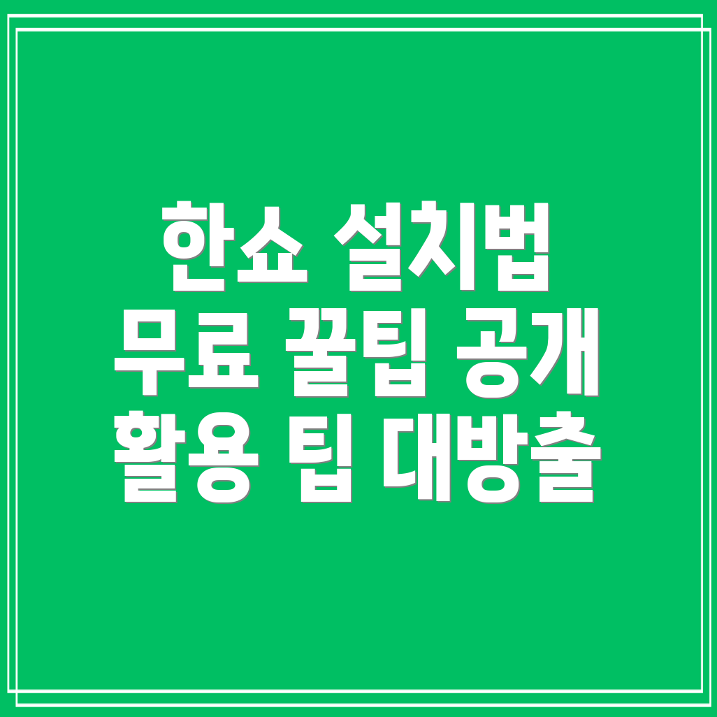 한쇼 2010