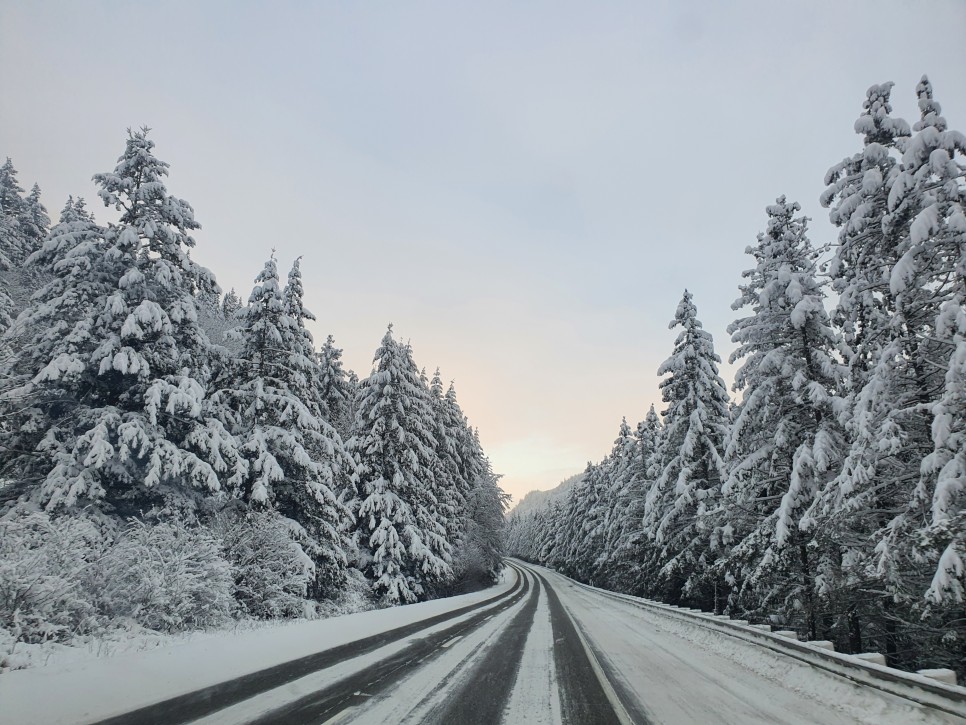 rv RV 카라반 끌고 미국 50