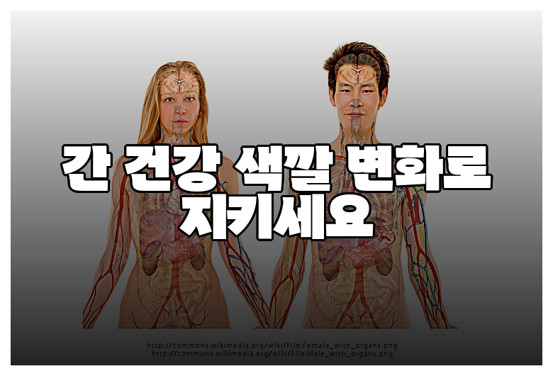 간 건강 색깔 변화로 지키세요