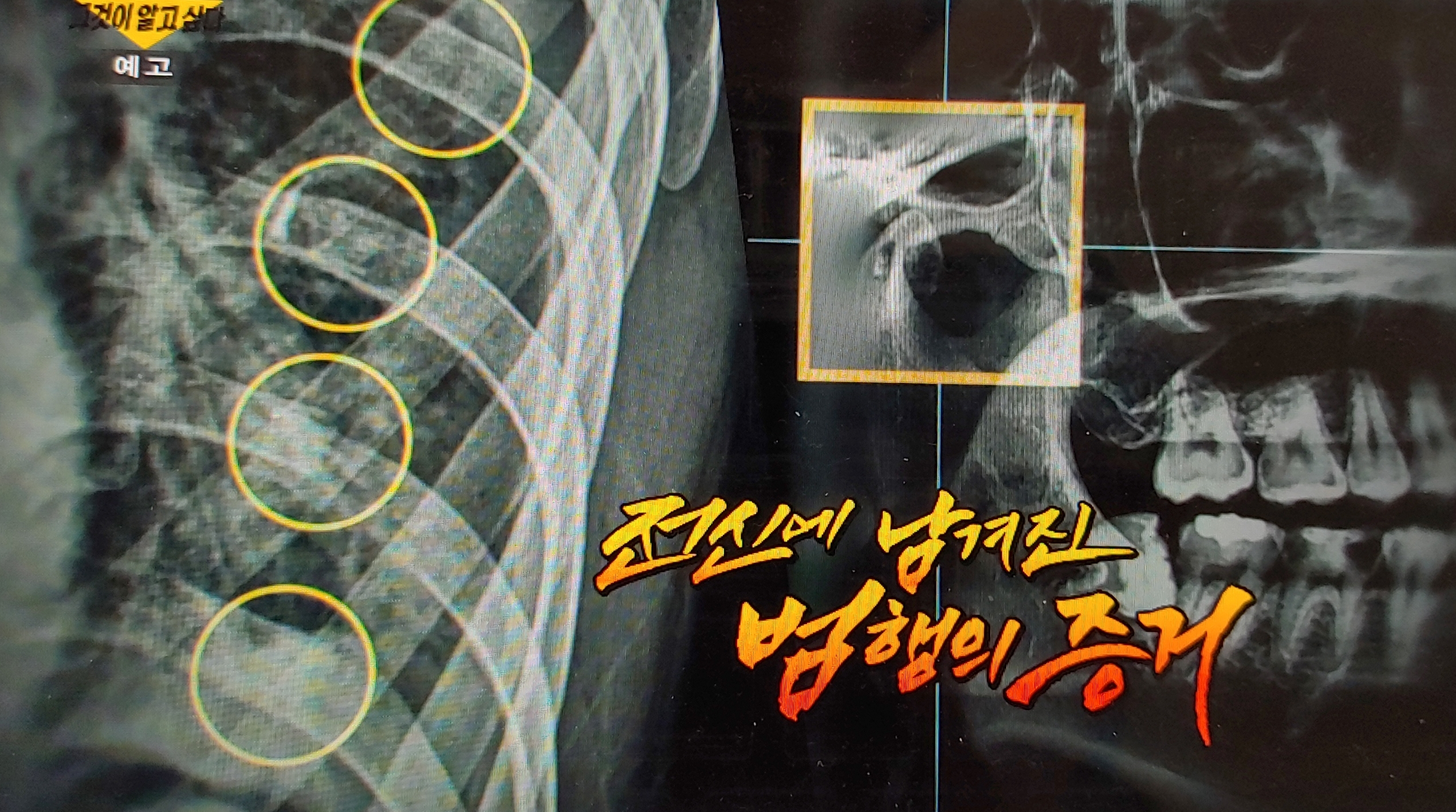  그알 마포 오피스텔 감금 살인 범인의 정체