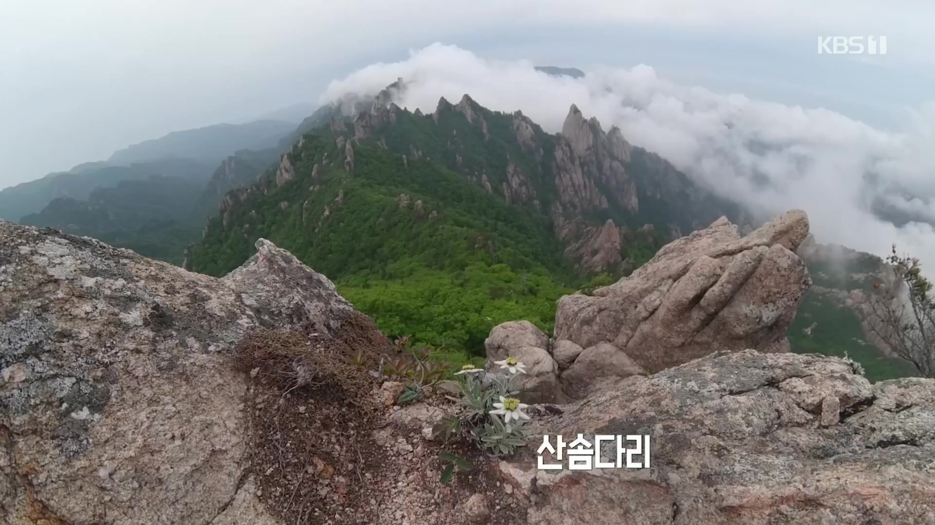 다큐 인사이트.E02.231215p.H264-F1RST.mp4_20231216_182607.859.jpg
