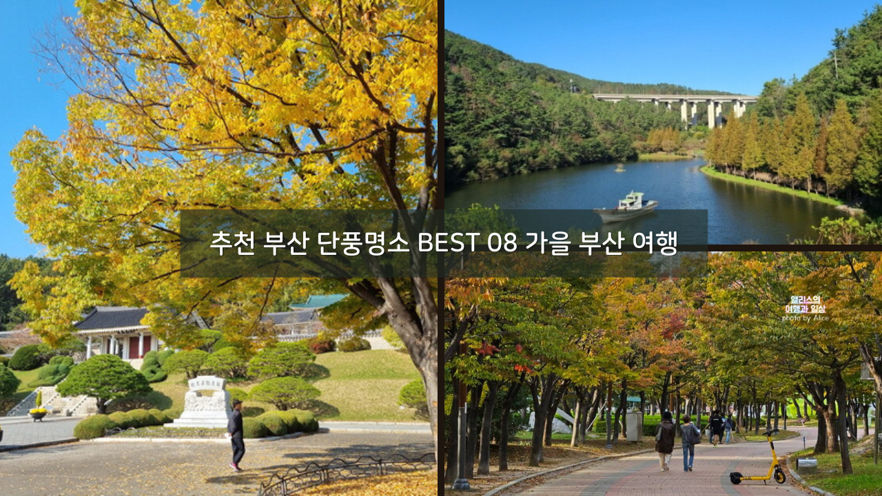 추천 부산 단풍명소 BEST 08 가을 부산 여행