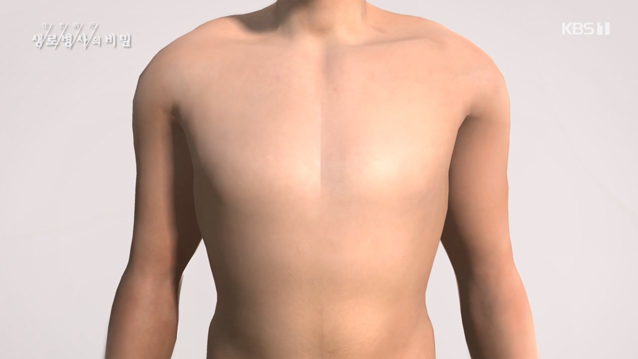 생로병사의 비밀.E900.240215p-NEXT.mp4_20240215_202856.565.jpg