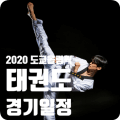  도쿄 올림픽 메달 태권도 장준