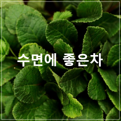 캐모마일