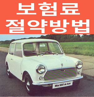  첫차보험료 할인최고라는 곳!!