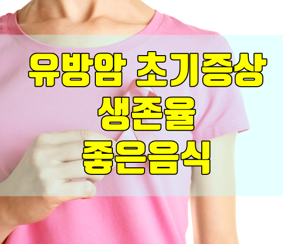  유방암 초기증상 및 생존율,좋은음식