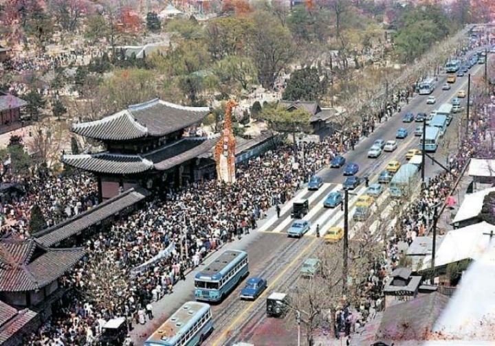 창경원 시절 사진