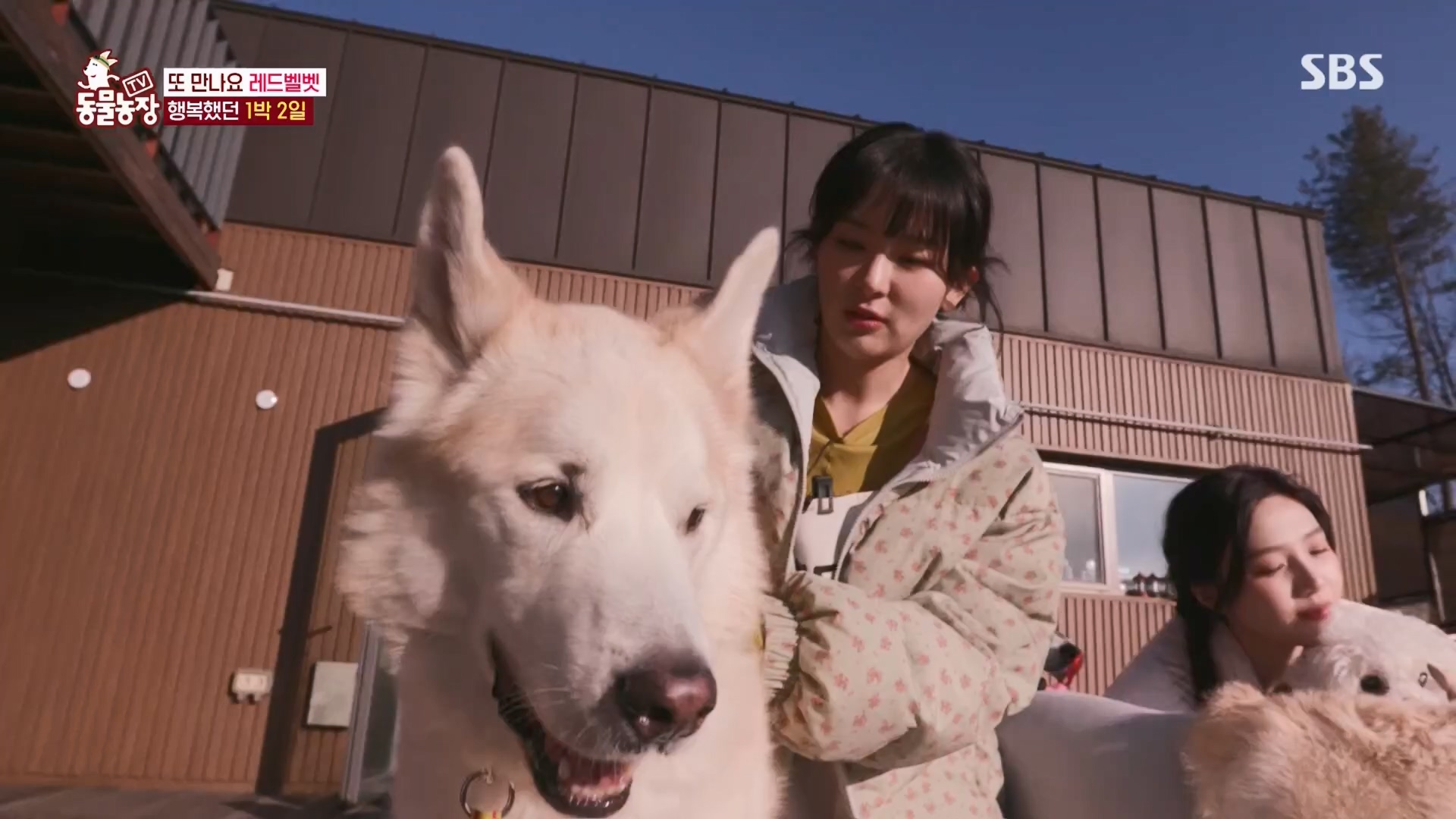 TV 동물농장.E1148.231203p.H264-F1RST.mp4_20231203_181445.729.jpg