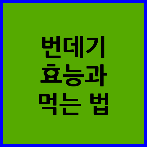 번데기 효능