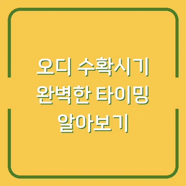 오디 수확시기 완벽한 타이밍 알아보기