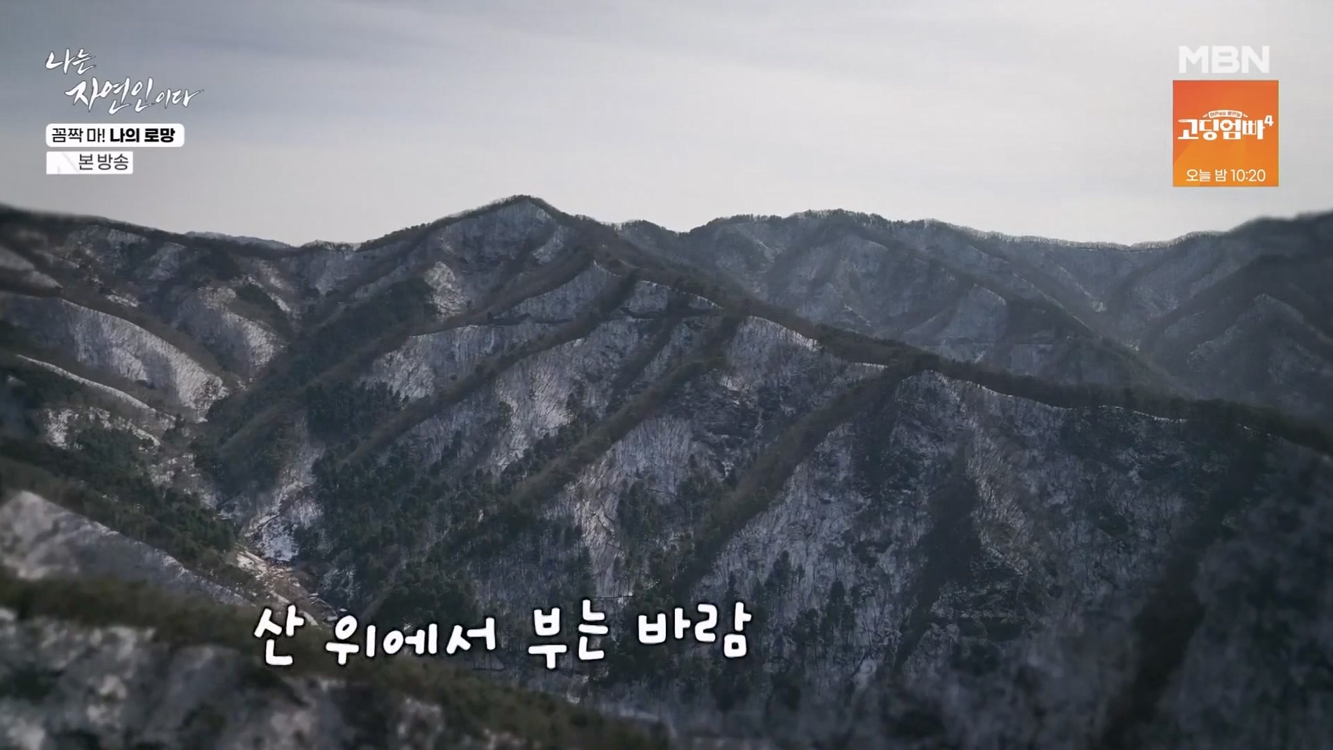 나는 자연인이다.E598.240320p-NEXT.mp4_20240321_202624.946.jpg