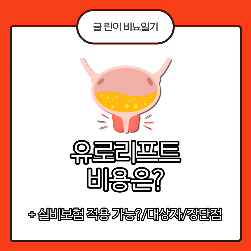  유로리프트 비용은?