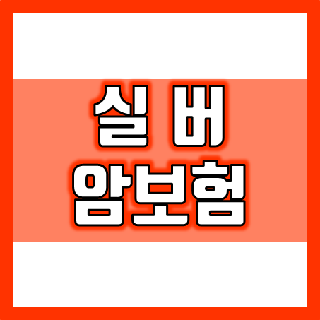  실버암보험 추천 : 고령자분들께 노인암보험 가입의 필요성과 비교 시 고려할 점을 안내해 드려요.