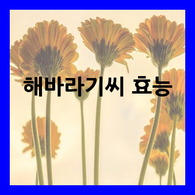 해바라기씨 효능