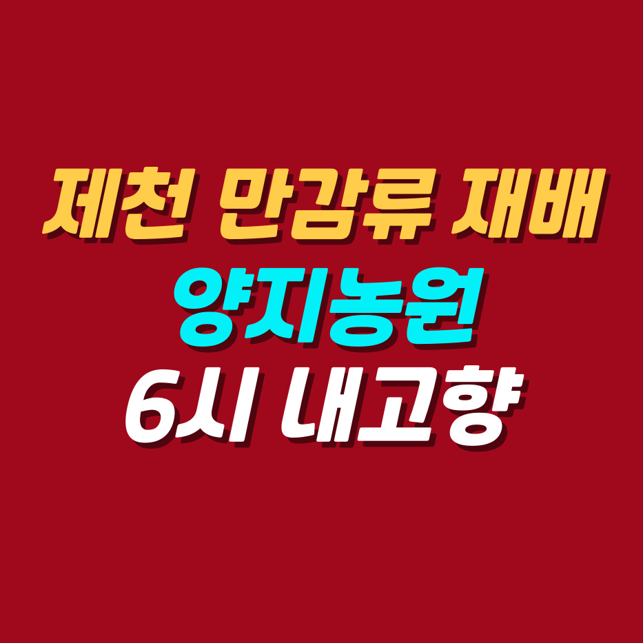 제천-만감류재배-양지농원