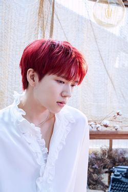  남우현 계약종료 차기 행선지는? (feat. 인피니트 전원 종료)