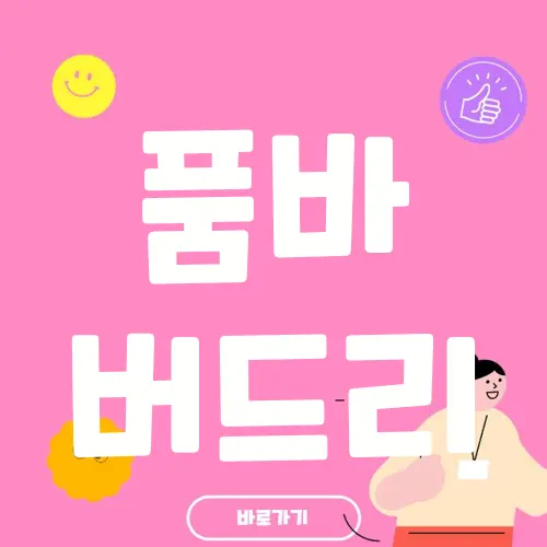 품바 버드리