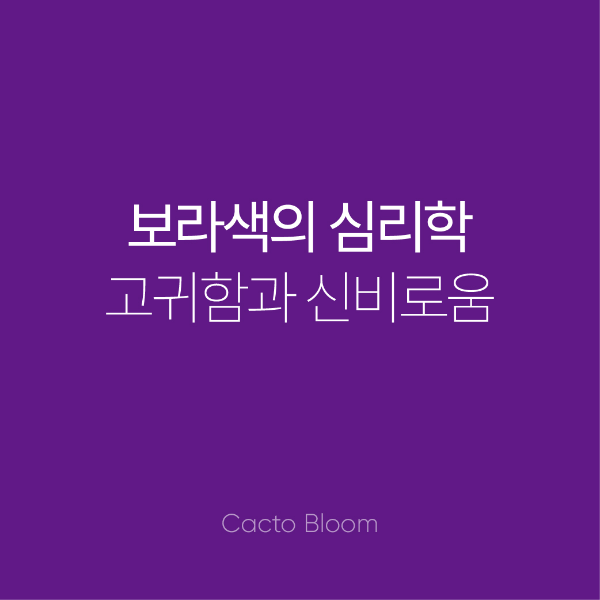 보라색의 심리학 - 고귀함과 신비로움