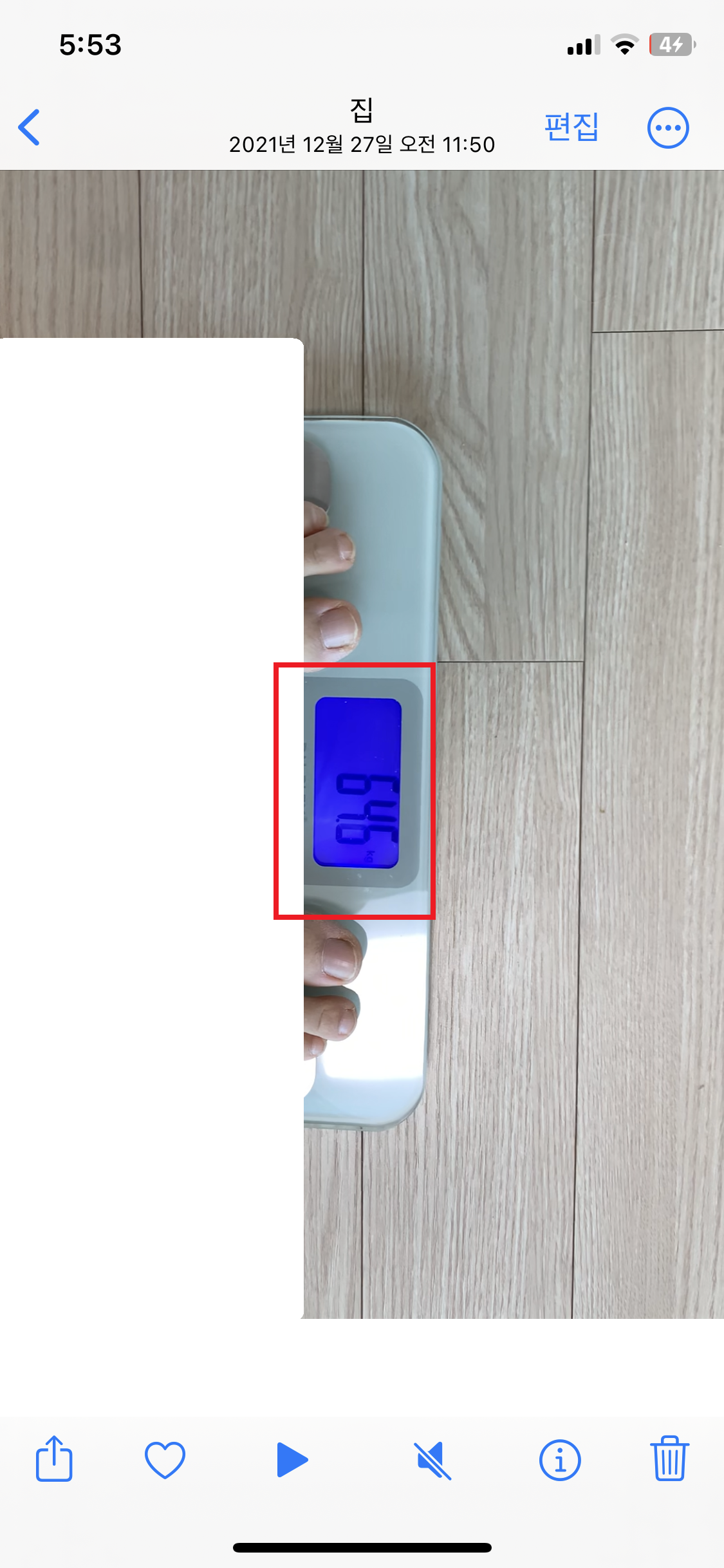 비엔스키니 복용 전 몸무게