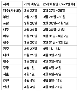 벚꽃개화시기