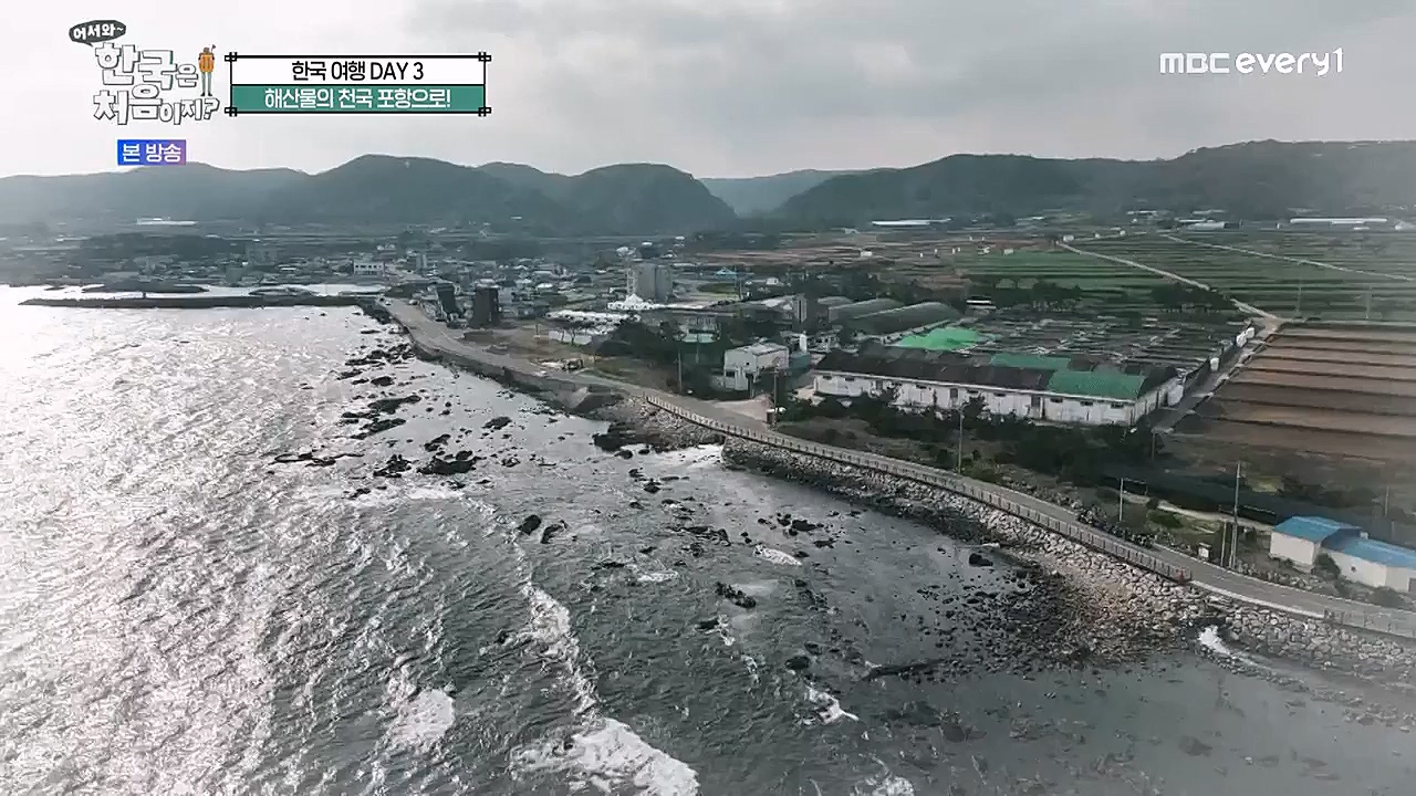 어서와 한국은 처음이지 시즌2.E246.230120p-NEXT.mp4_20230120_193419.299.jpg