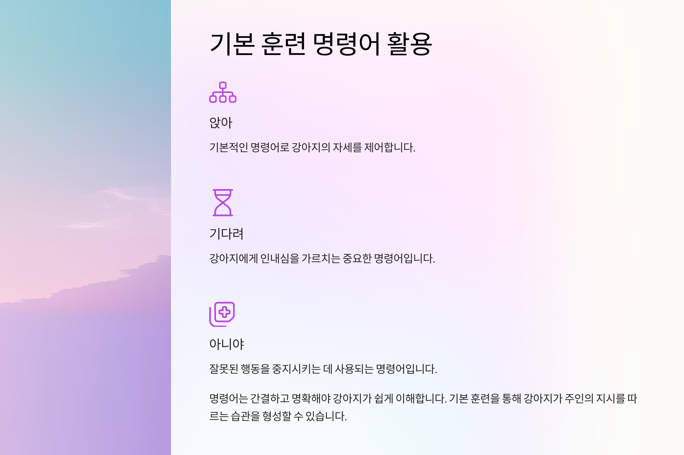 기본 훈련 명령어 활용