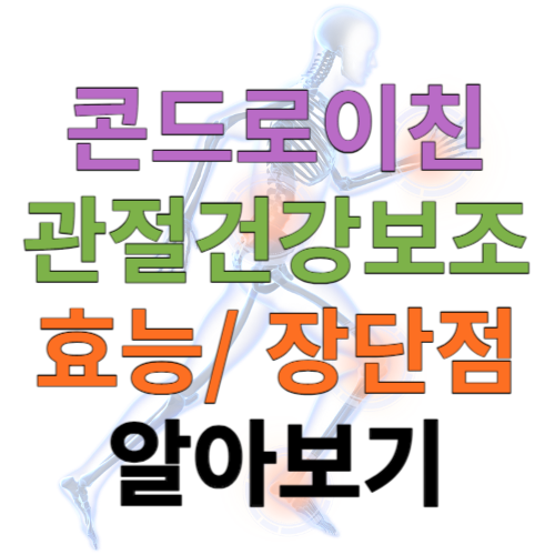 콘드로이친