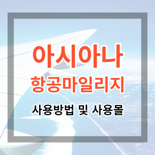  아시아나마일리지 사용방법 및 사용몰, 사용처. 마일리지로 이마트 이용하기