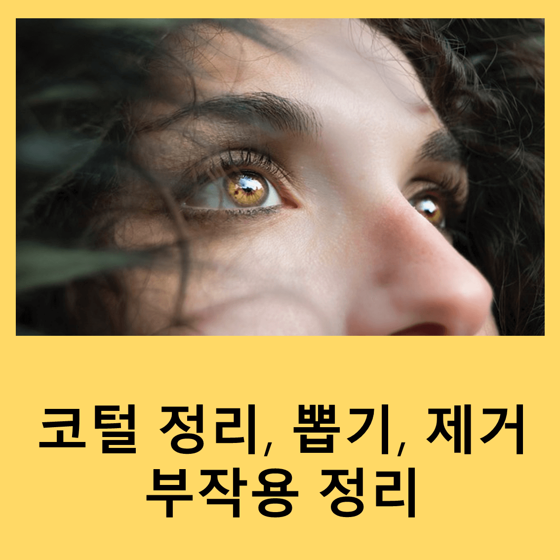 코털