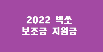 2022 넥쏘 보조금