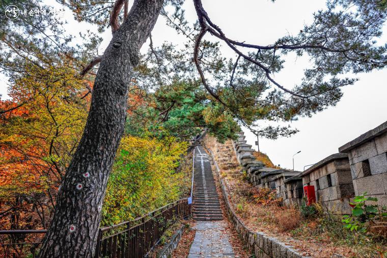 한양도성 성곽길을 따라 잘 조성되어 있는 북악산 등산로