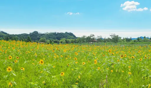 익산 용안생태습지공원2