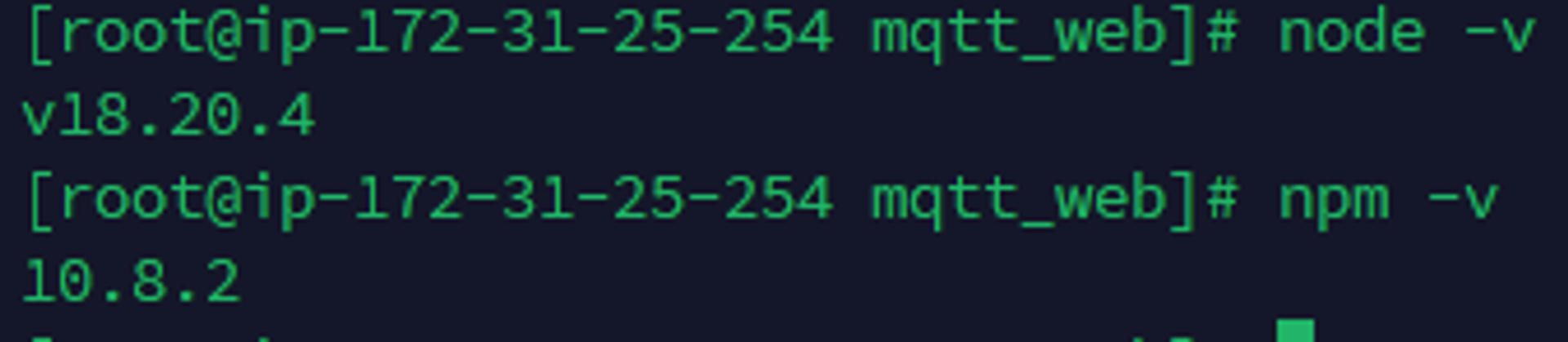node, npm 설치 확인