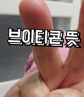 브이티콘 이미지