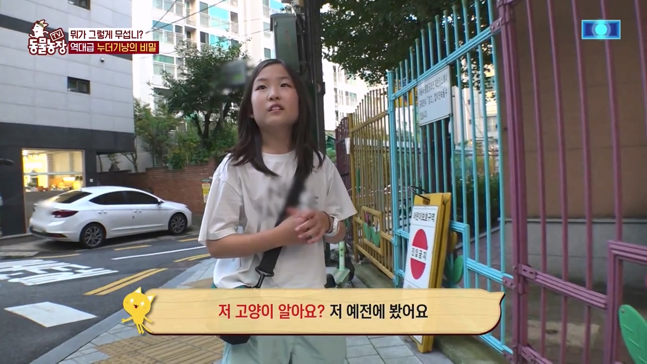 TV 동물농장.E1143.231030p-NEXT.mp4_20231029_163552.154.jpg