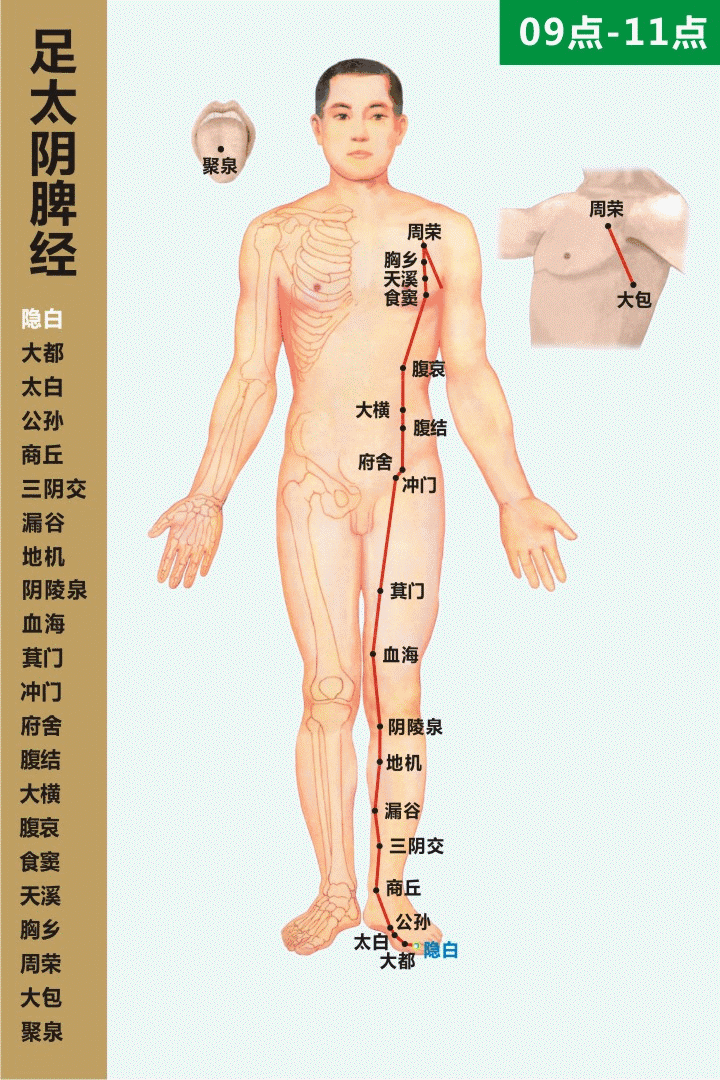영신침구 이미지