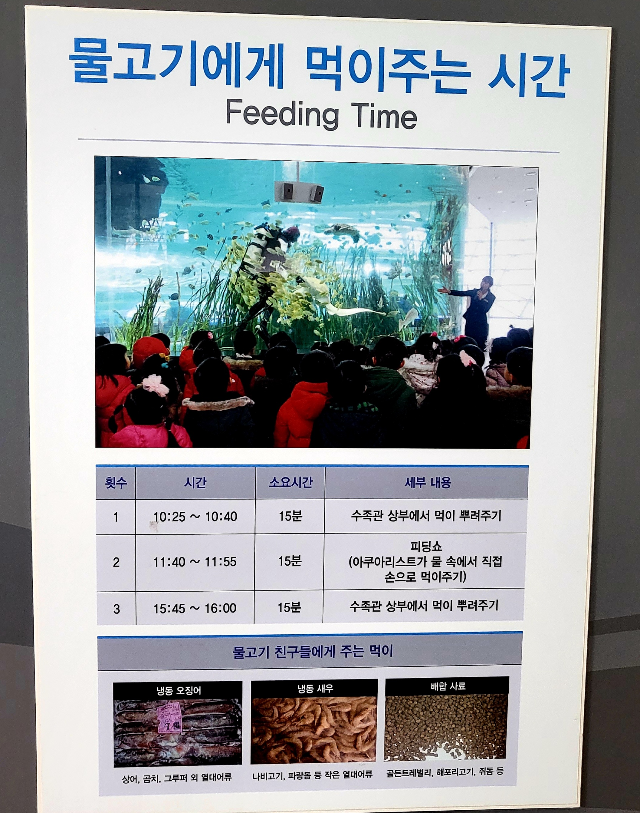 물고기에게 먹이주는 시간 안내표