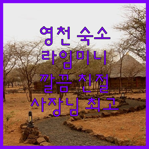 영천 라임미니호텔 후기 깔끔한 숙소,