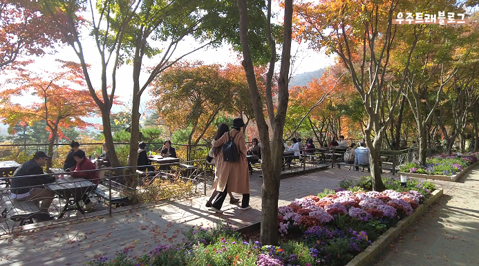 사진6