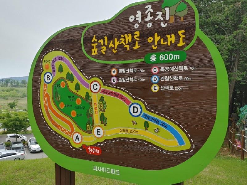  나들이 치킨먹을래  떡볶이 먹을래  고민이라면 죠스떡볶이 파티박스 로 선택하세요