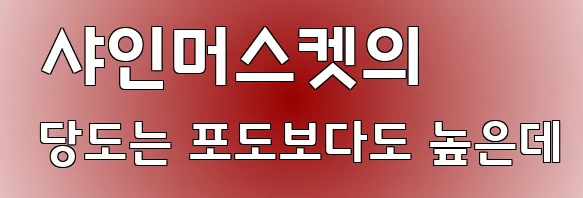  샤인머스켓의 당도는 포도보다도 높은데