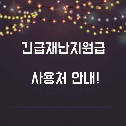  정부 긴급재난지원금 사용처 자세히 알아보자!