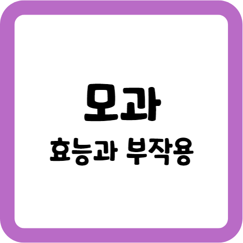 모과의 효능과 부작용